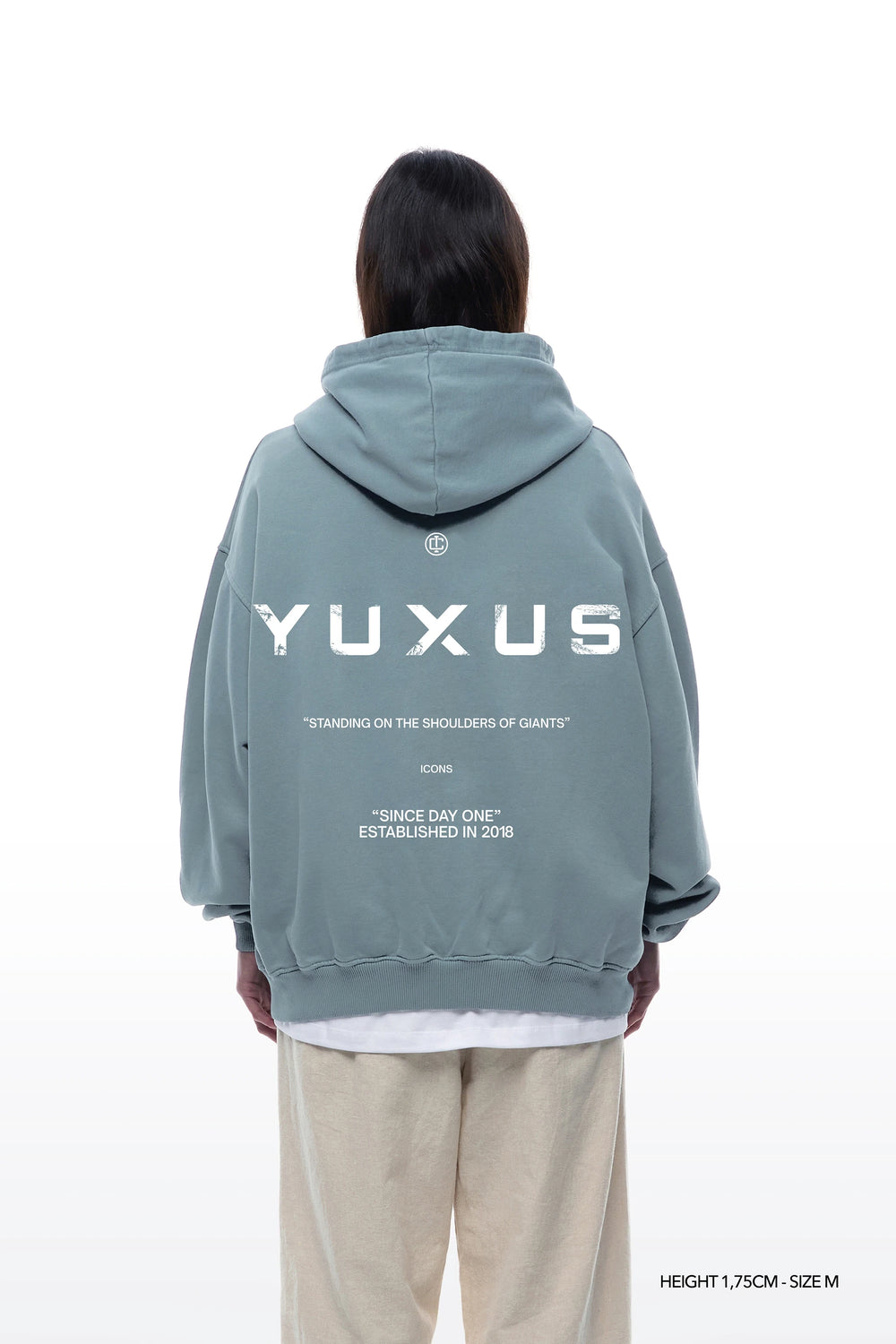 ADEN "ICONS" HOODIE