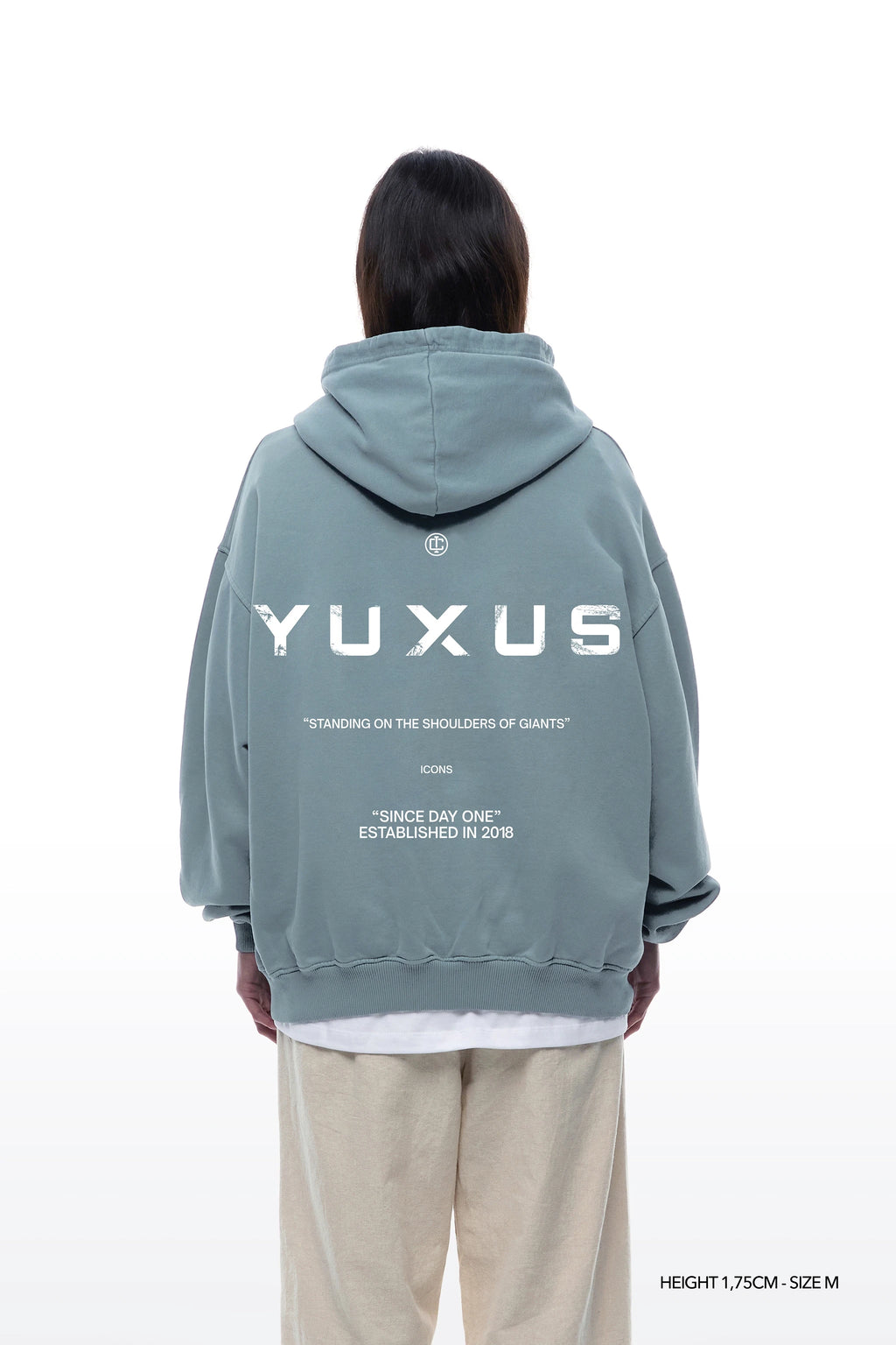 ADEN "ICONS" HOODIE