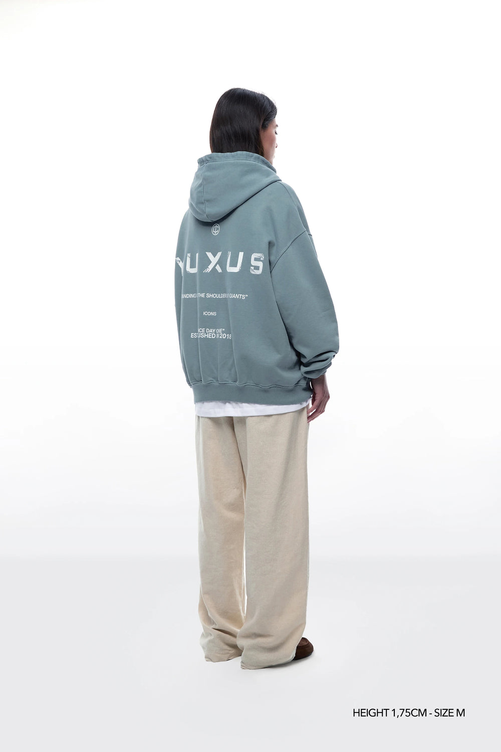 ADEN "ICONS" HOODIE