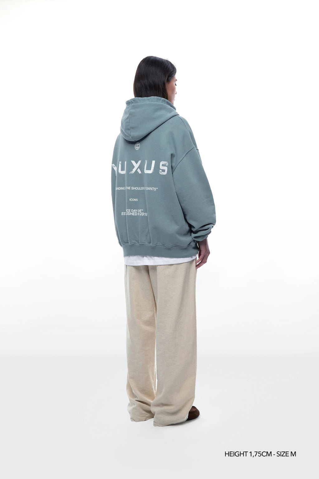 ADEN "ICONS" HOODIE