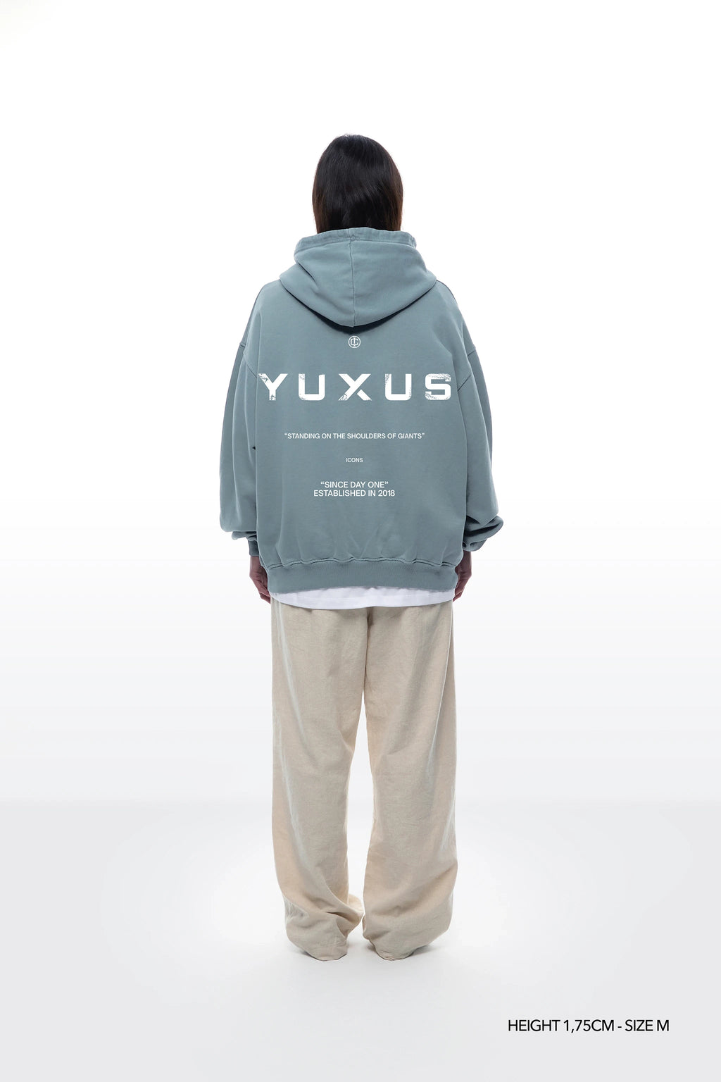 ADEN "ICONS" HOODIE