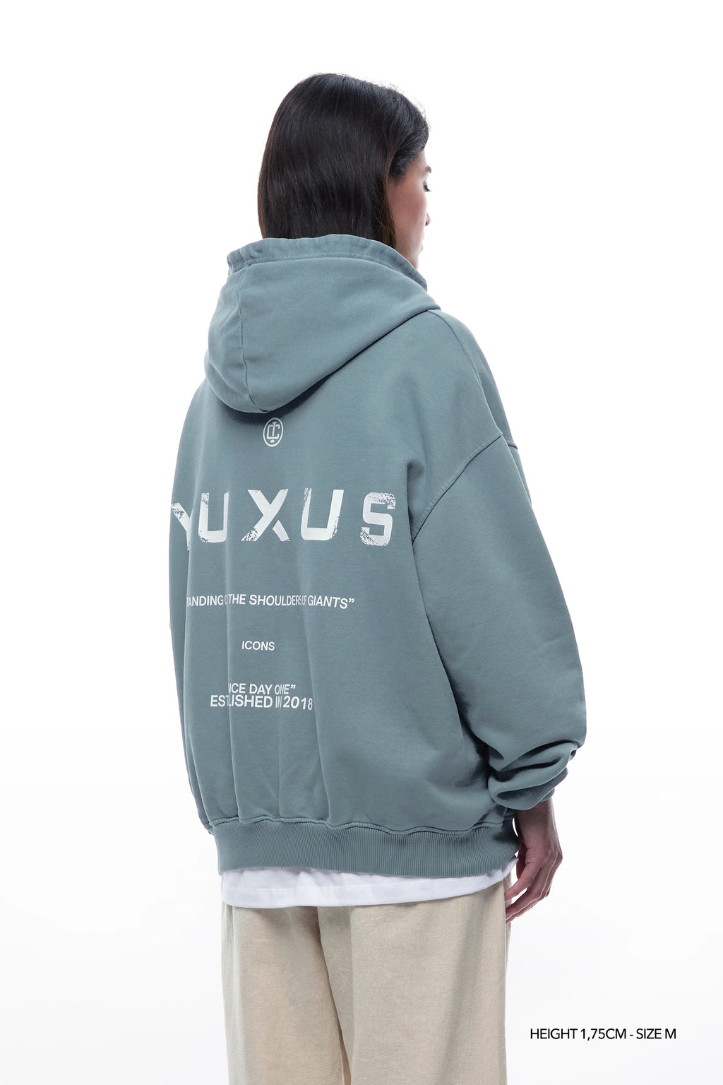 ADEN "ICONS" HOODIE