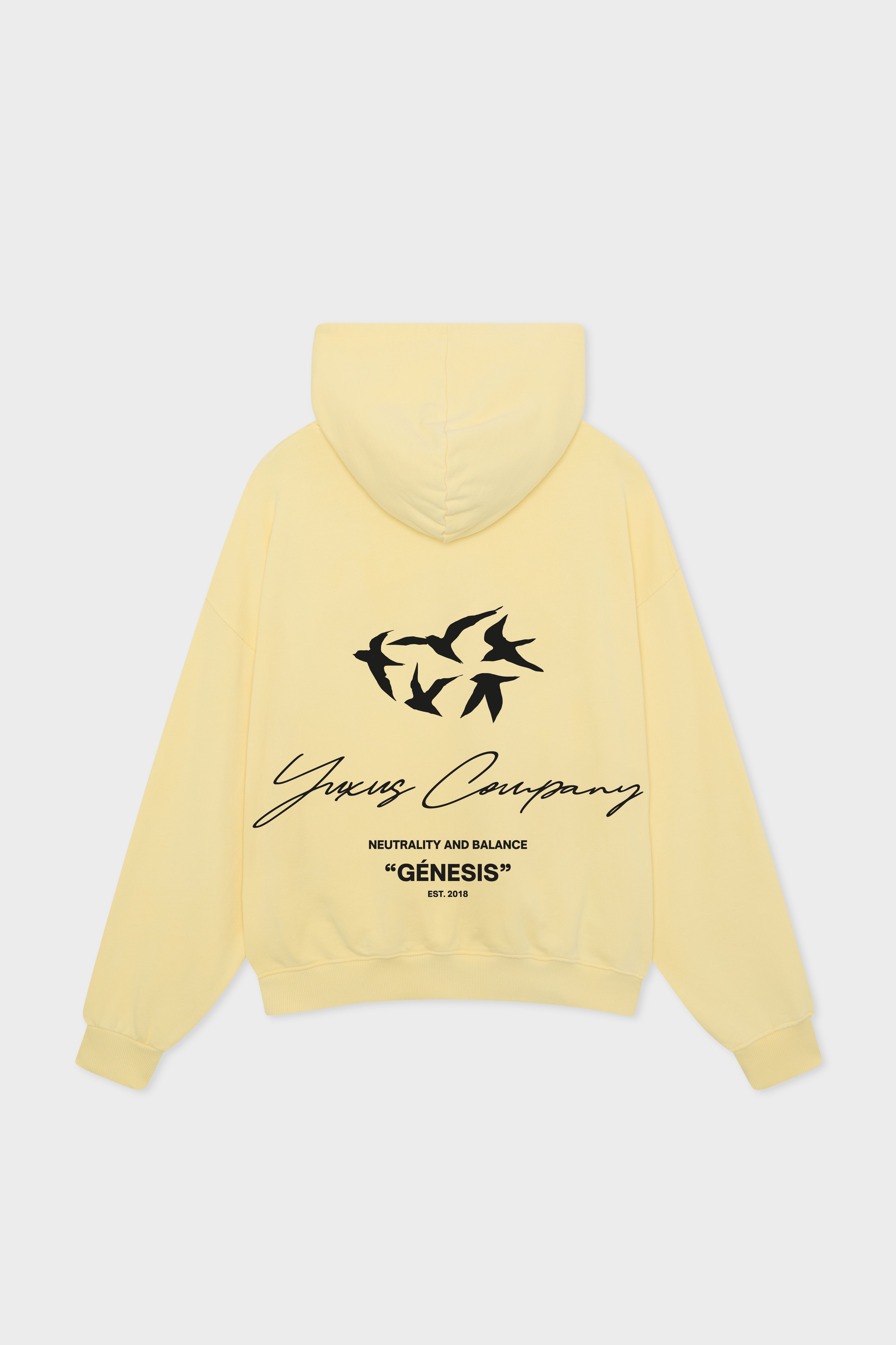 AMBER "GENESIS" HOODIE