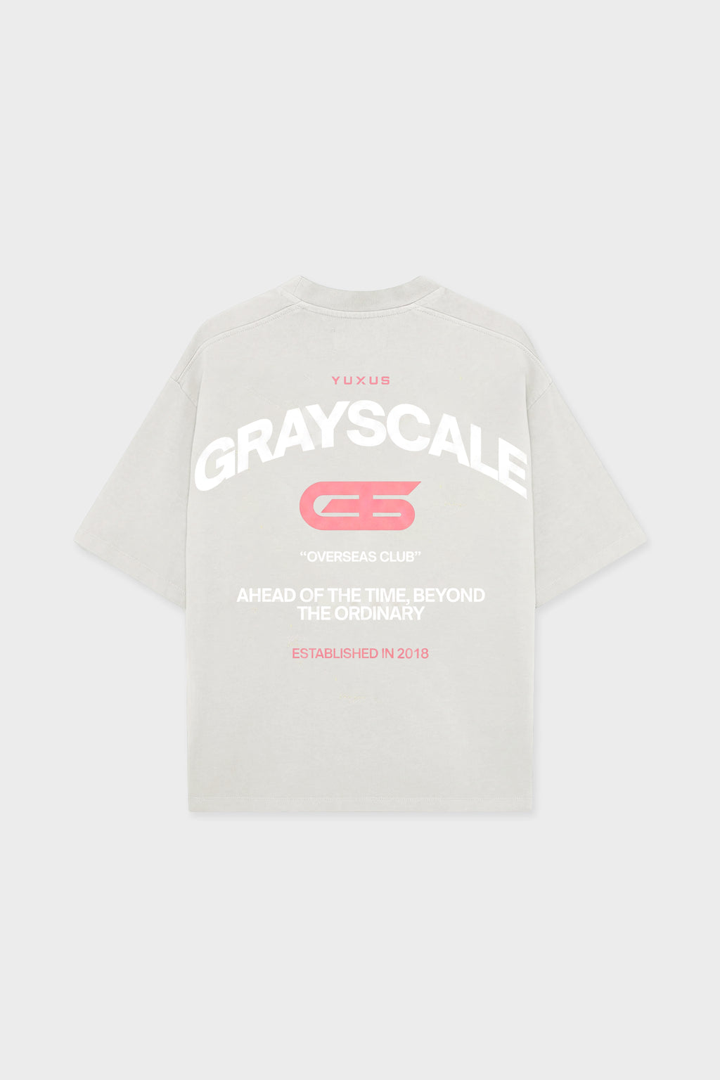 GOOSE "GRAYSCALE" T-SHIRT LIGHT GREY