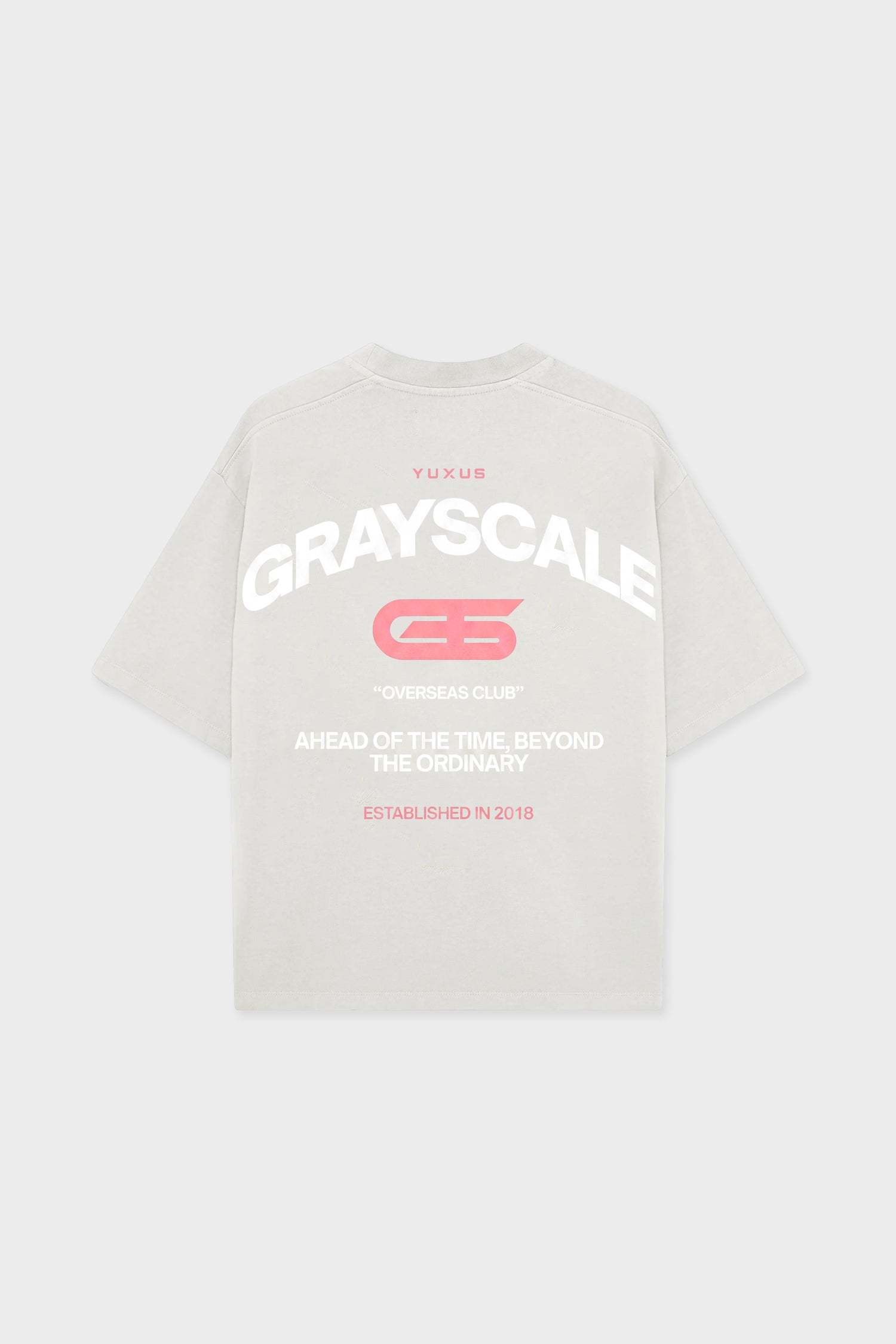 GOOSE "GRAYSCALE" T-SHIRT LIGHT GREY